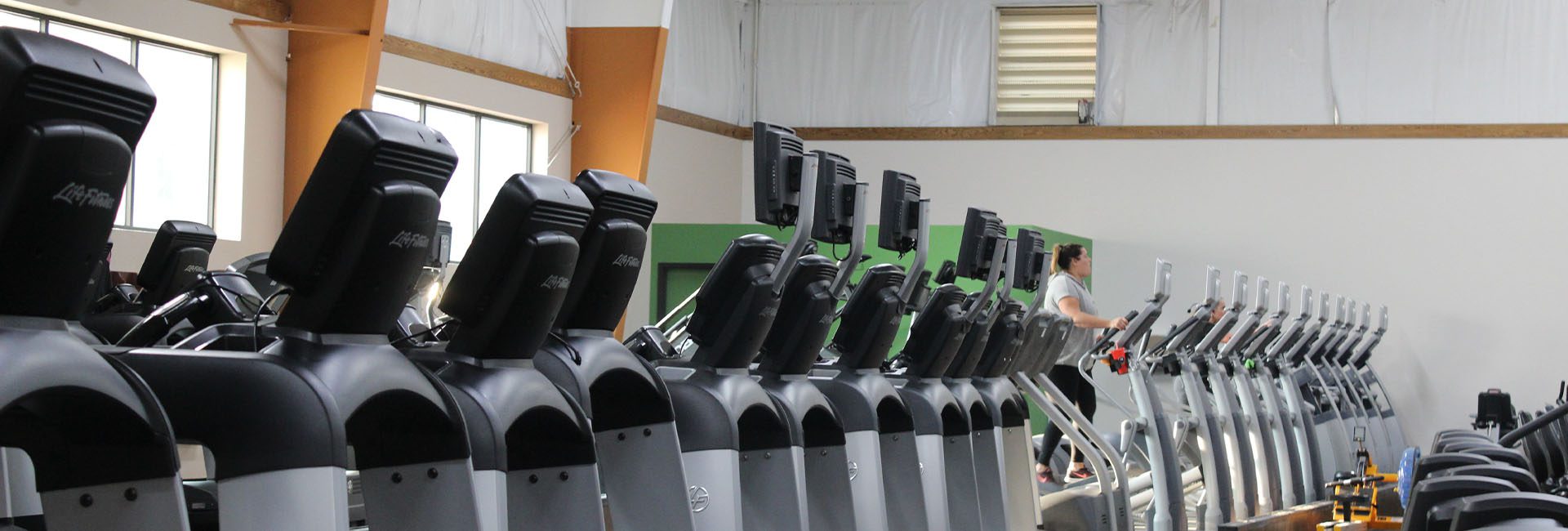 rows of cardio machines