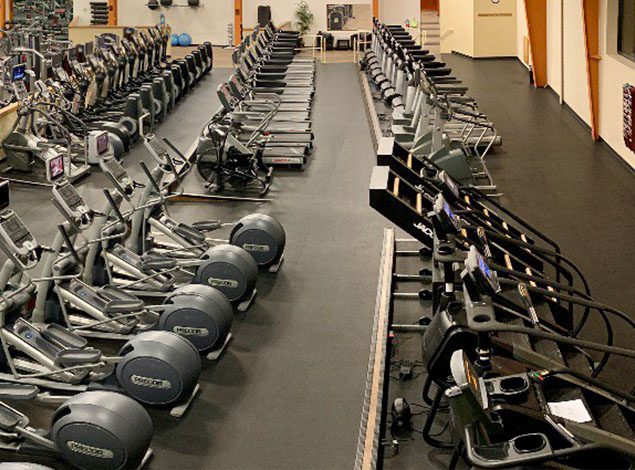 rows of cardio machines for cardio training