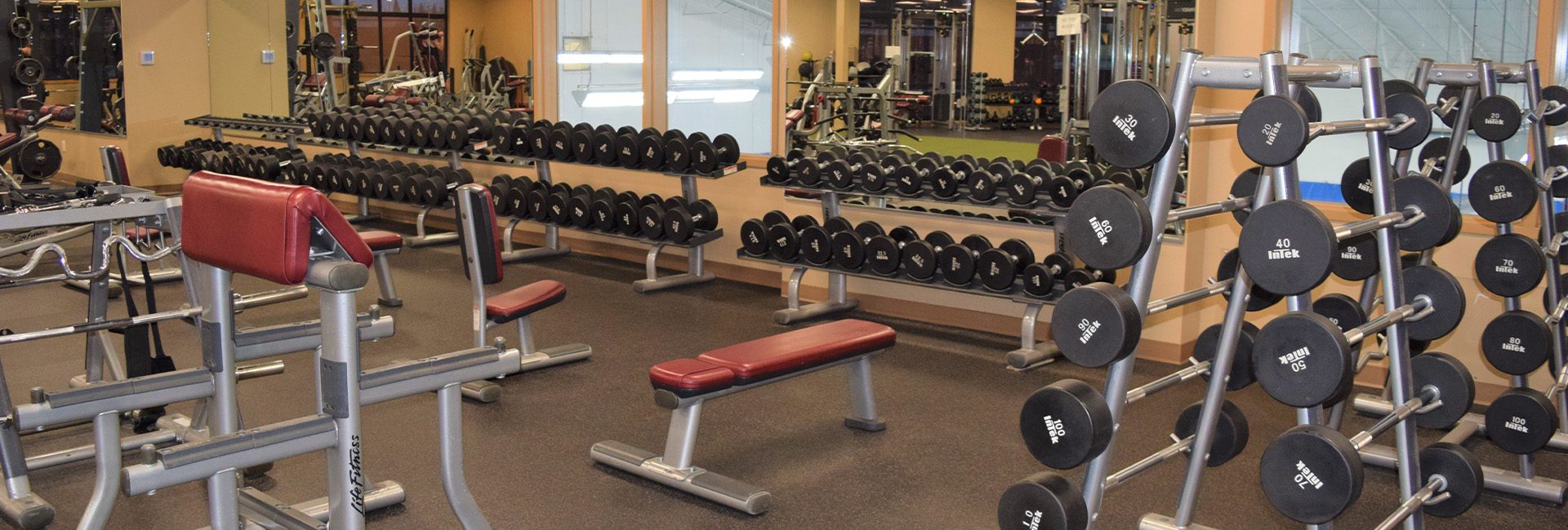 Weight racks and benches